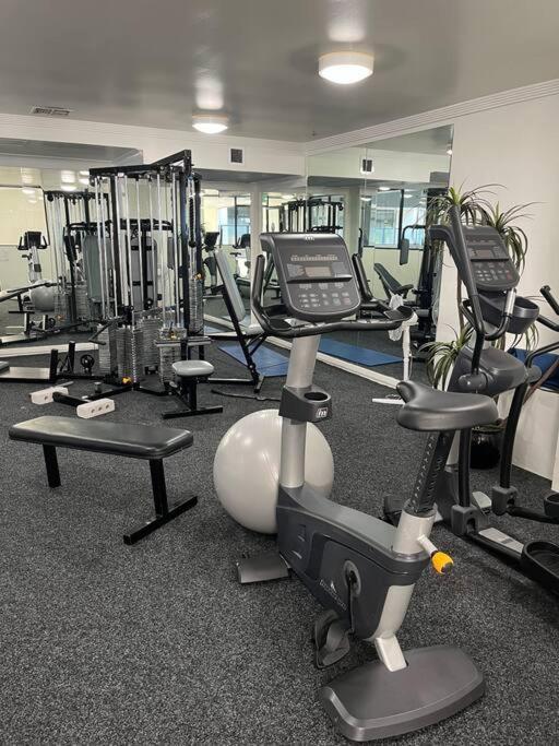 Super Convenient Modern 2 Bedroom 2 Bath Parking Apartment *